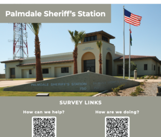 Palmdale Sheriff Survey